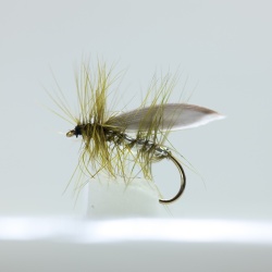 Silver Winged olive Sedge Dry Fly